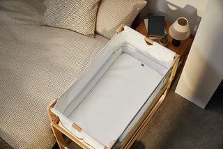 SnuzPod4 Mattress Protector-Regal Baby